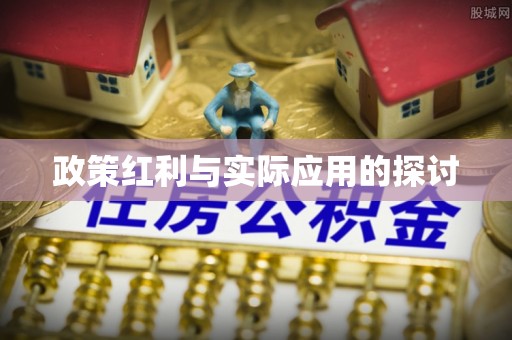 怀集政策红利与实际应用的探讨
