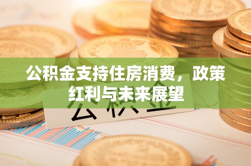 怀集公积金支持住房消费，政策红利与未来展望