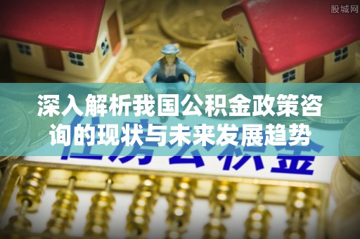 怀集深入解析我国公积金政策咨询的现状与未来发展趋势