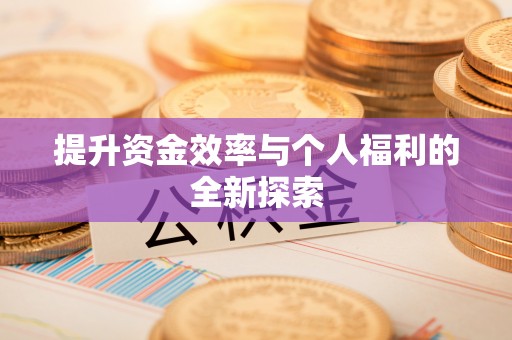 怀集提升资金效率与个人福利的全新探索