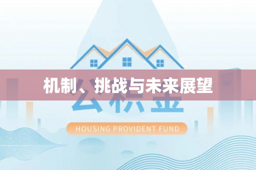 怀集机制、挑战与未来展望