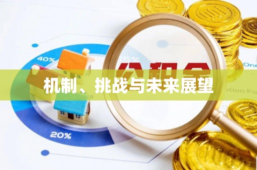 怀集机制、挑战与未来展望